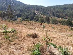 NEX-227268 - Terreno en Venta en Santa Teresa Tilostoc, CP 51210, Estado De México.