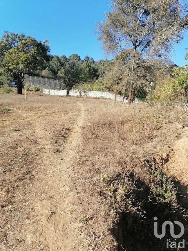 Terreno en Venta en Rincón de Estradas, Valle de Bravo, Estado De México | NEX-227269 | iad México | Foto 2 de 11