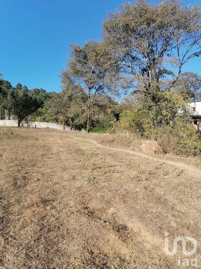 Terreno en Venta en Rincón de Estradas, Valle de Bravo, Estado De México | NEX-227269 | iad México | Foto 3 de 11