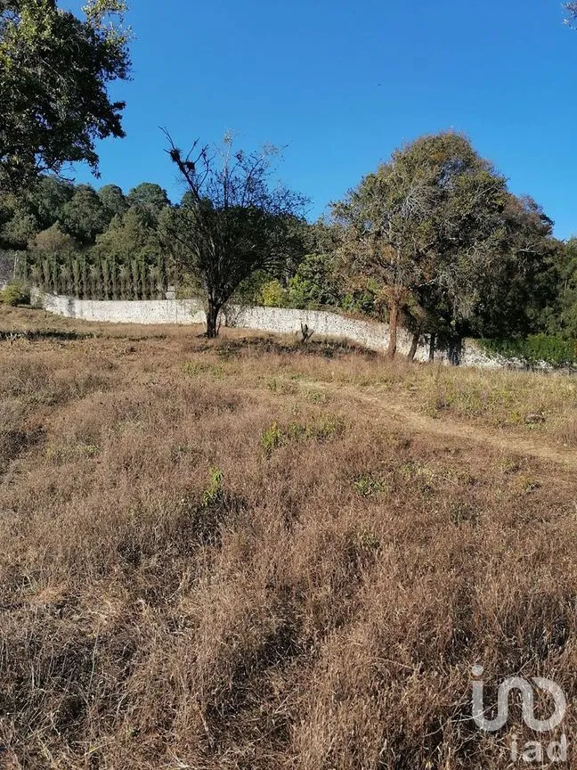 Terreno en Venta en Rincón de Estradas, Valle de Bravo, Estado De México | NEX-227269 | iad México | Foto 5 de 11