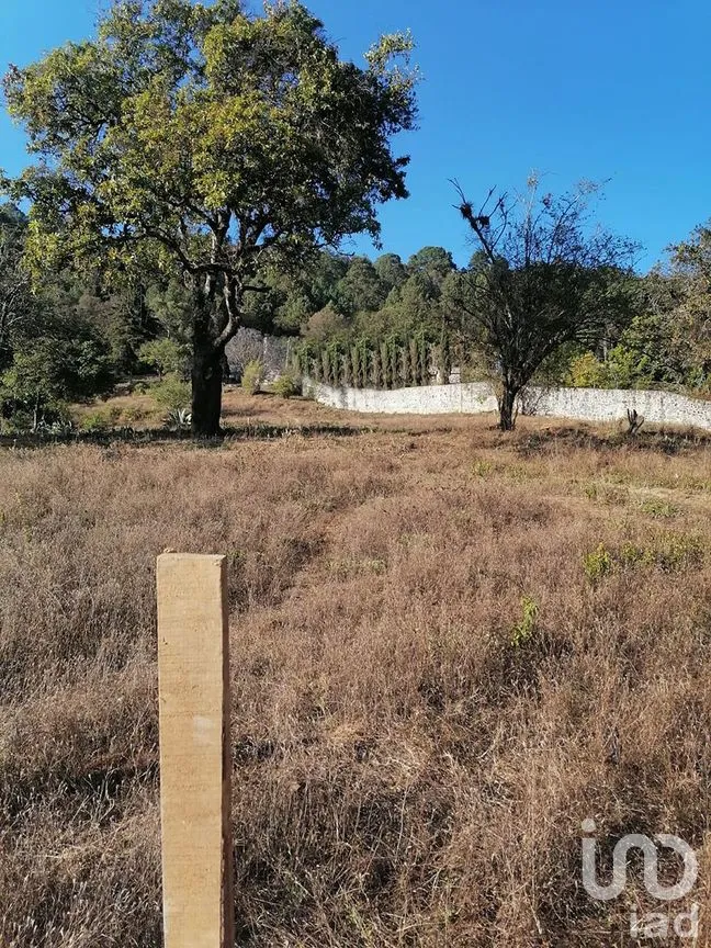 Terreno en Venta en Rincón de Estradas, Valle de Bravo, Estado De México | NEX-227269 | iad México | Foto 6 de 11