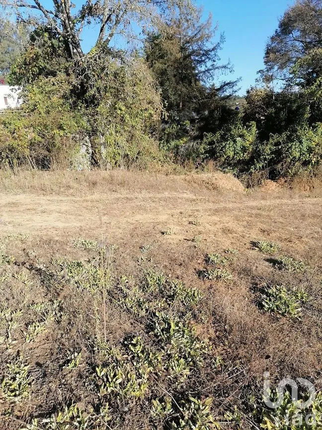 Terreno en Venta en Rincón de Estradas, Valle de Bravo, Estado De México | NEX-227269 | iad México | Foto 7 de 11