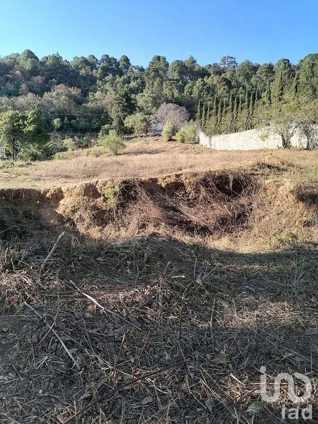 Terreno en Venta en Rincón de Estradas, Valle de Bravo, Estado De México | NEX-227269 | iad México | Foto 8 de 11