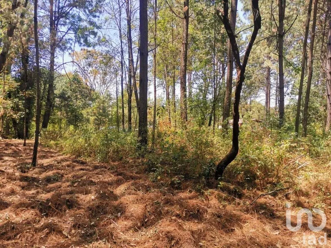 Terreno en Venta en Cerro Gordo, Valle de Bravo, Estado De México | NEX-227270 | iad México | Foto 3 de 10