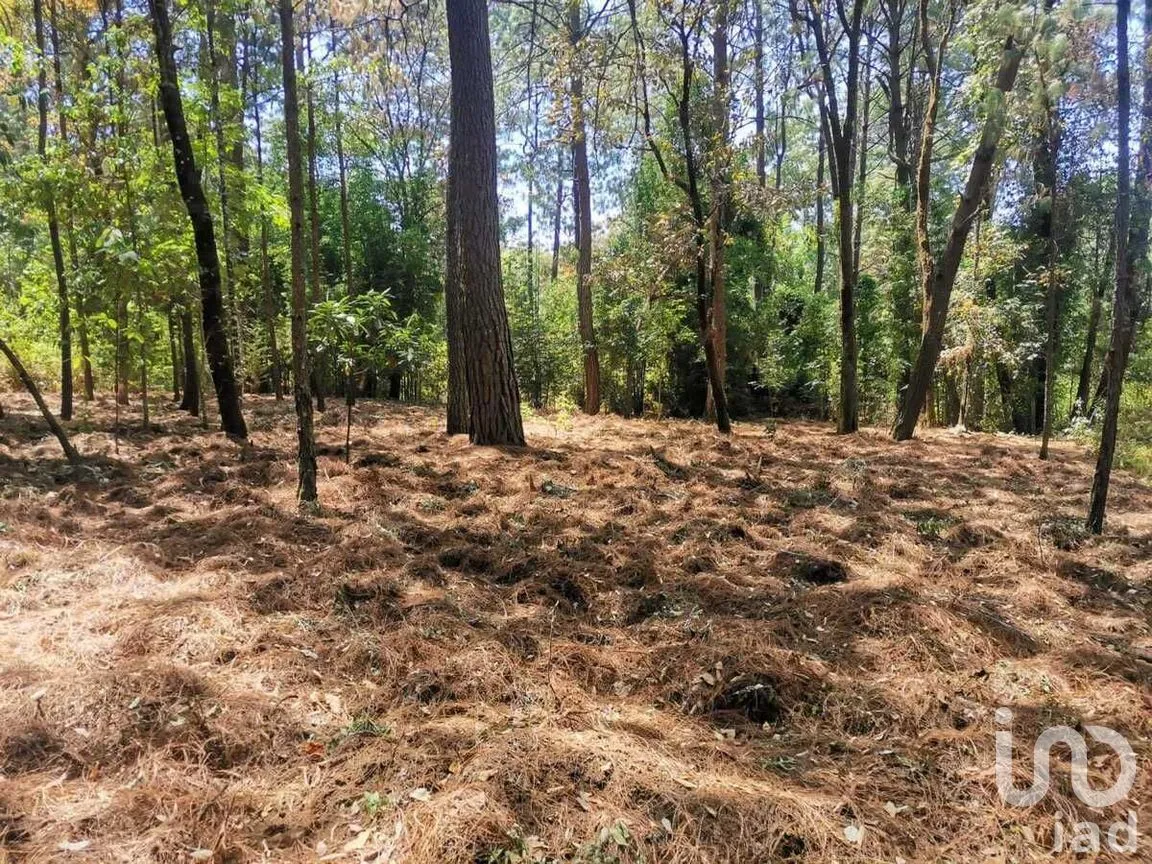 Terreno en Venta en Cerro Gordo, Valle de Bravo, Estado De México | NEX-227270 | iad México | Foto 4 de 10
