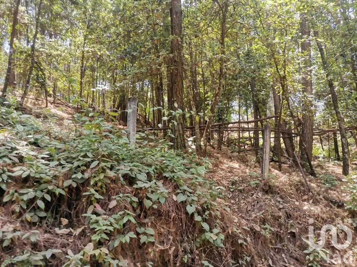 Terreno en Venta en Cerro Gordo, Valle de Bravo, Estado De México | NEX-227270 | iad México | Foto 5 de 10