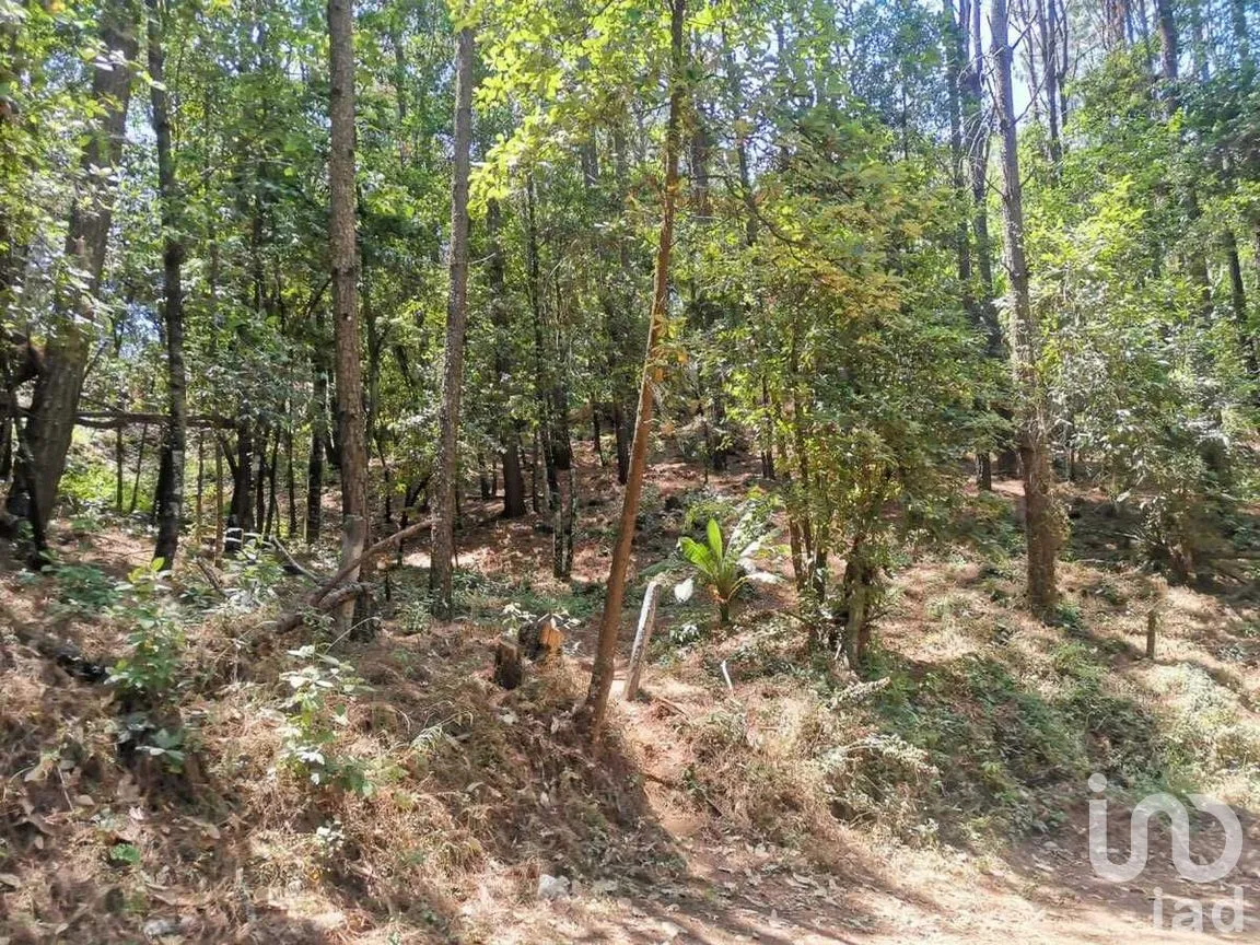 Terreno en Venta en Cerro Gordo, Valle de Bravo, Estado De México | NEX-227270 | iad México | Foto 7 de 10