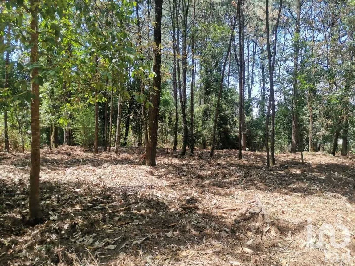 Terreno en Venta en Cerro Gordo, Valle de Bravo, Estado De México | NEX-227270 | iad México | Foto 8 de 10
