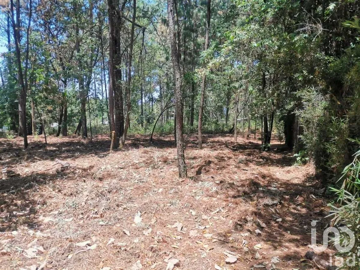 Terreno en Venta en Cerro Gordo, Valle de Bravo, Estado De México | NEX-227270 | iad México | Foto 9 de 10