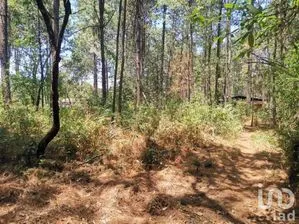 NEX-227270 - Terreno en Venta en Cerro Gordo, CP 51239, Estado De México.