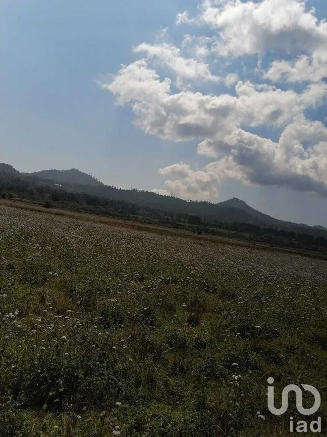 Terreno en Venta en Mesa Rica, Valle de Bravo, Estado De México | NEX-227271 | iad México | Foto 4 de 8