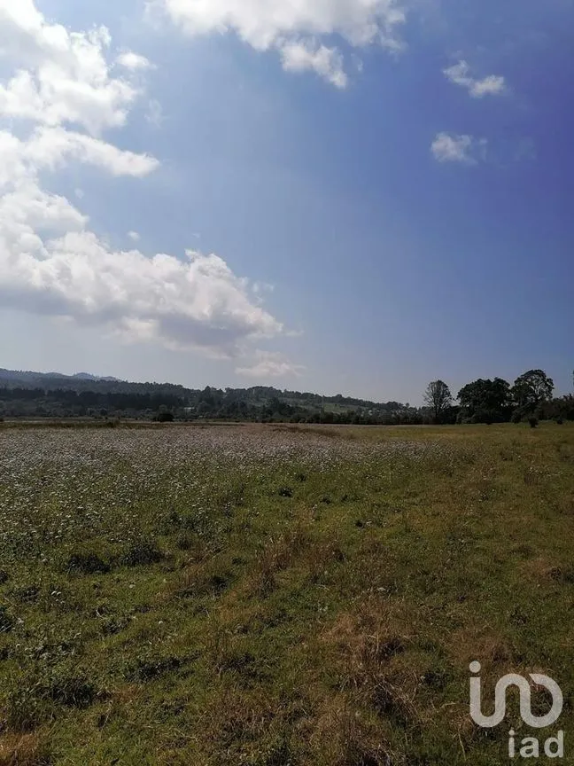 Terreno en Venta en Mesa Rica, Valle de Bravo, Estado De México | NEX-227271 | iad México | Foto 7 de 8