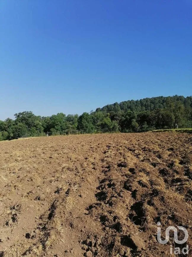 Terreno en Venta en San Simón el Alto, Valle de Bravo, Estado De México | NEX-227272 | iad México | Foto 3 de 9