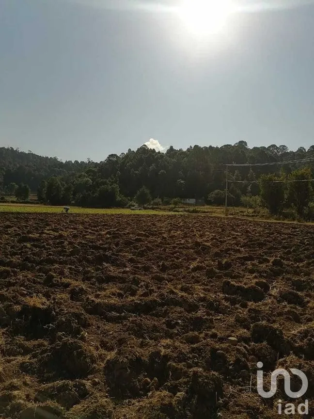 Terreno en Venta en San Simón el Alto, Valle de Bravo, Estado De México | NEX-227272 | iad México | Foto 5 de 9