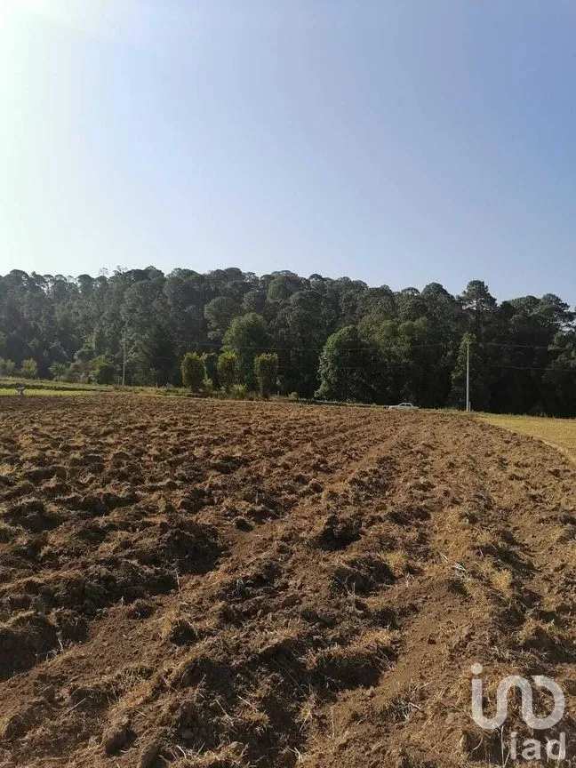 Terreno en Venta en San Simón el Alto, Valle de Bravo, Estado De México | NEX-227272 | iad México | Foto 6 de 9