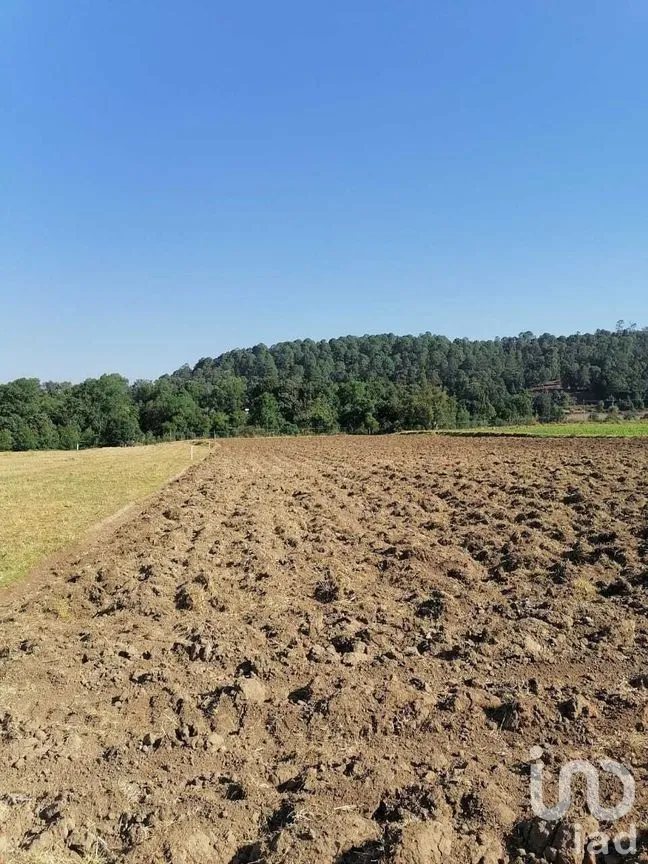 Terreno en Venta en San Simón el Alto, Valle de Bravo, Estado De México | NEX-227272 | iad México | Foto 8 de 9
