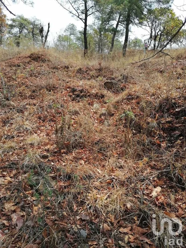 Terreno en Venta en Valle de Bravo, Valle de Bravo, Estado De México | NEX-227274 | iad México | Foto 11 de 14