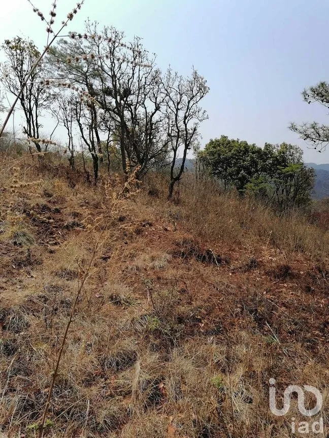 Terreno en Venta en Valle de Bravo, Valle de Bravo, Estado De México | NEX-227274 | iad México | Foto 12 de 14