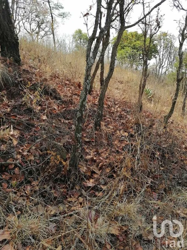 Terreno en Venta en Valle de Bravo, Valle de Bravo, Estado De México | NEX-227274 | iad México | Foto 13 de 14