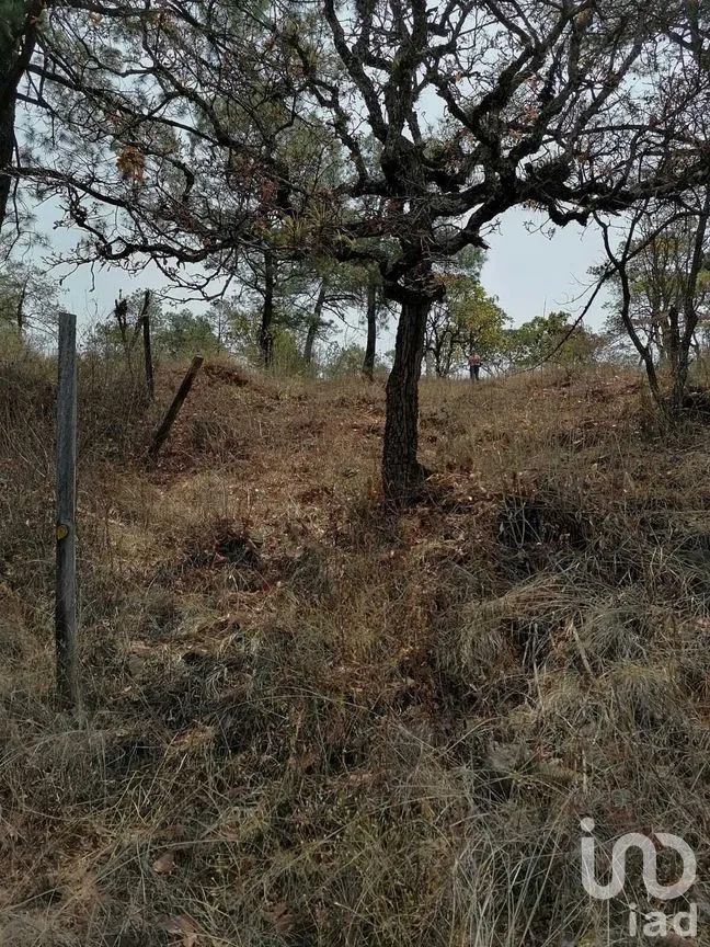 Terreno en Venta en Valle de Bravo, Valle de Bravo, Estado De México | NEX-227274 | iad México | Foto 14 de 14
