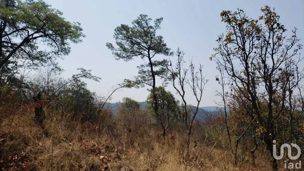Terreno en Venta en Valle de Bravo, Valle de Bravo, Estado De México | NEX-227274 | iad México | Foto 5 de 14