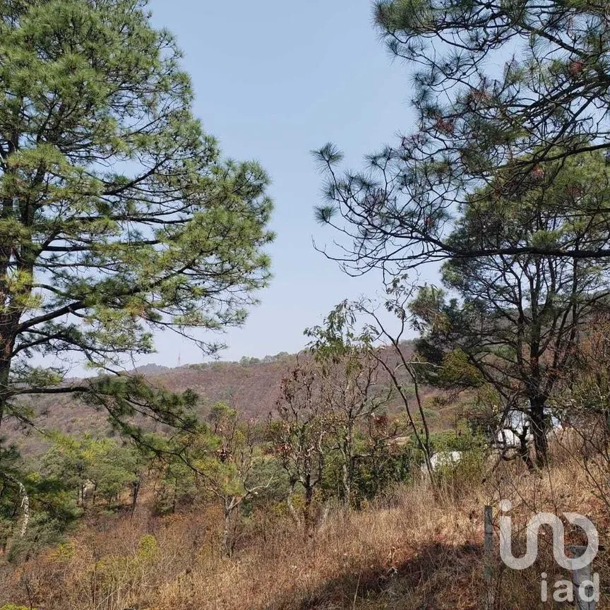Terreno en Venta en Valle de Bravo, Valle de Bravo, Estado De México | NEX-227274 | iad México | Foto 7 de 14
