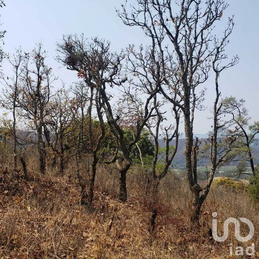 Terreno en Venta en Valle de Bravo, Valle de Bravo, Estado De México | NEX-227274 | iad México | Foto 8 de 14