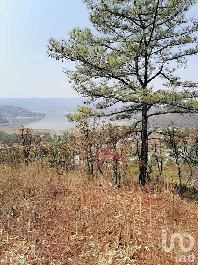 Terreno en Venta en Valle de Bravo, Valle de Bravo, Estado De México | NEX-227274 | iad México | Foto 9 de 14
