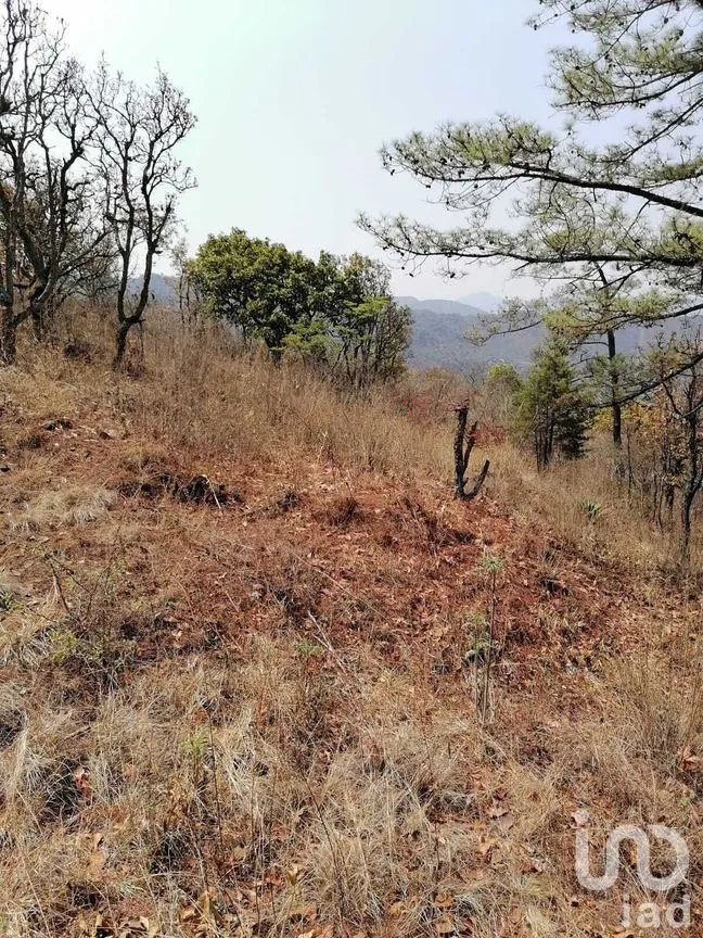 Terreno en Venta en Valle de Bravo, Valle de Bravo, Estado De México | NEX-227274 | iad México | Foto 10 de 14