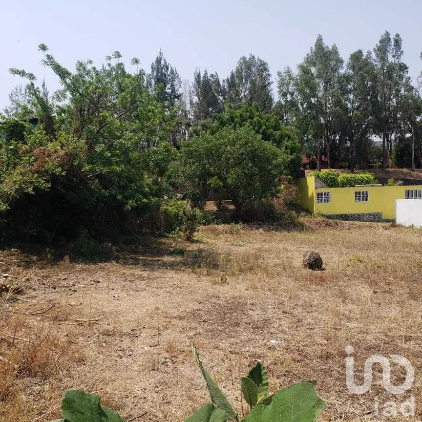 Terreno en Venta en San Gaspar, Valle de Bravo, Estado De México | NEX-227275 | iad México | Foto 2 de 8