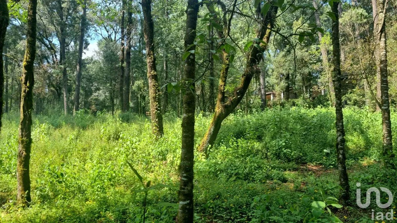 Terreno en Venta en San Simón el Alto, Valle de Bravo, Estado De México | NEX-227277 | iad México | Foto 2 de 12