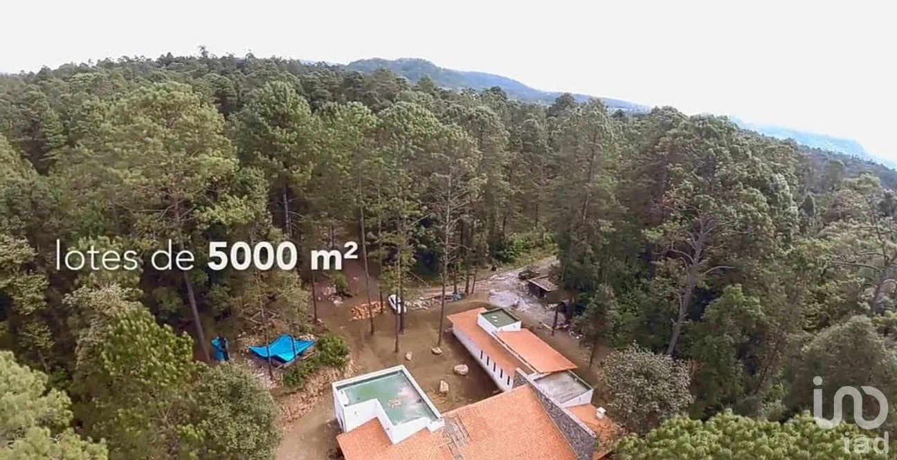 Terreno en Venta en San Simón el Alto, Valle de Bravo, Estado De México | NEX-227277 | iad México | Foto 4 de 12