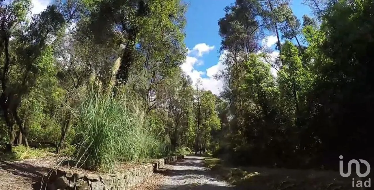Terreno en Venta en San Simón el Alto, Valle de Bravo, Estado De México | NEX-227277 | iad México | Foto 6 de 12