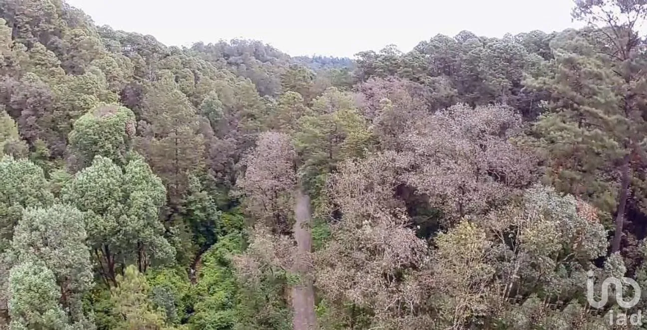 Terreno en Venta en San Simón el Alto, Valle de Bravo, Estado De México | NEX-227277 | iad México | Foto 8 de 12