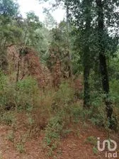 NEX-227279 - Terreno en Venta en El Manzano, CP 51237, Estado De México.