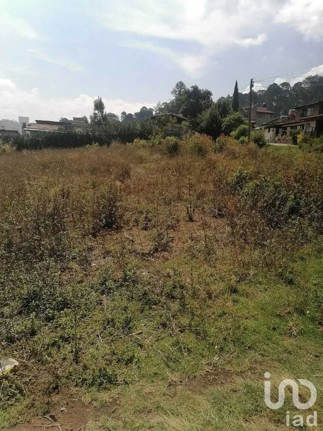 Terreno en Venta en Cerro Gordo, Valle de Bravo, Estado De México | NEX-227280 | iad México | Foto 3 de 5