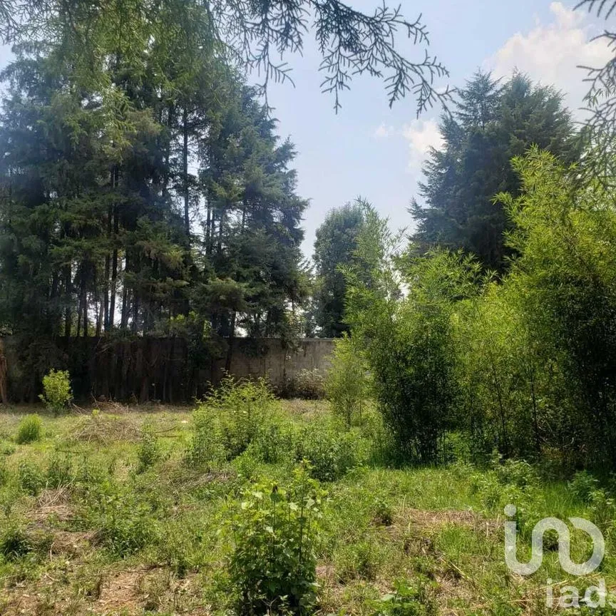 Terreno en Venta en Avándaro, Valle de Bravo, Estado De México | NEX-227281 | iad México | Foto 2 de 11