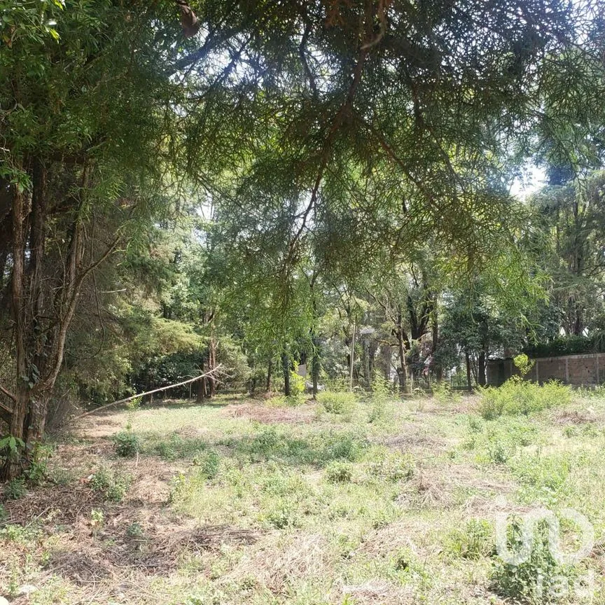 Terreno en Venta en Avándaro, Valle de Bravo, Estado De México | NEX-227281 | iad México | Foto 11 de 11