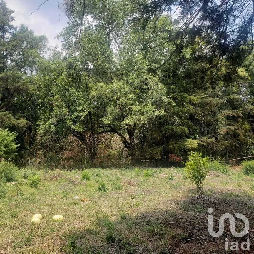 Terreno en Venta en Avándaro, Valle de Bravo, Estado De México | NEX-227281 | iad México | Foto 3 de 11