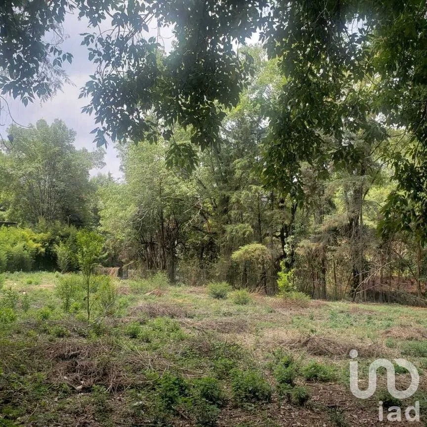 Terreno en Venta en Avándaro, Valle de Bravo, Estado De México | NEX-227281 | iad México | Foto 5 de 11