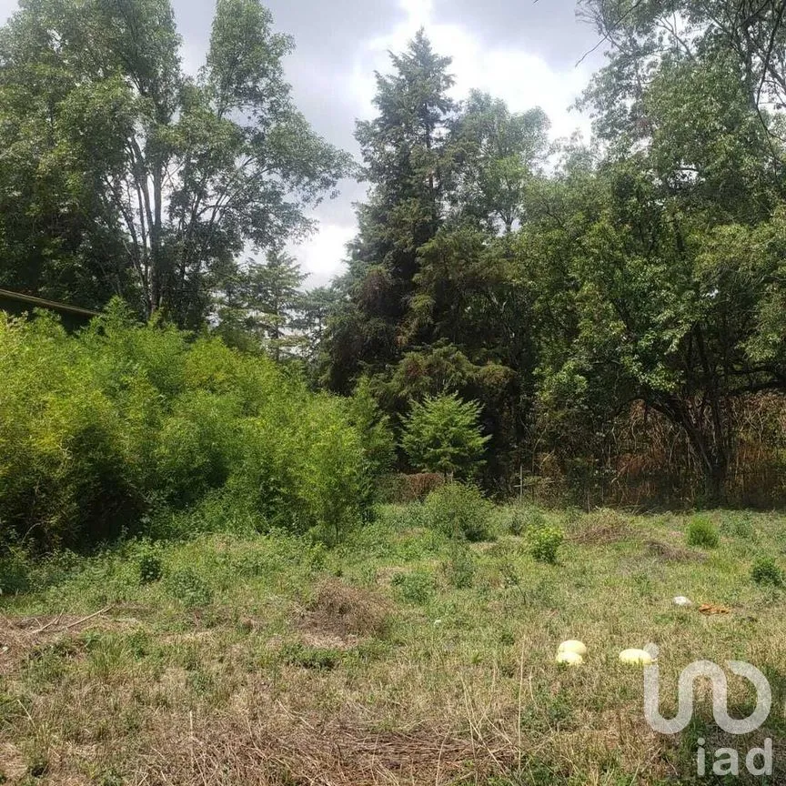 Terreno en Venta en Avándaro, Valle de Bravo, Estado De México | NEX-227281 | iad México | Foto 6 de 11