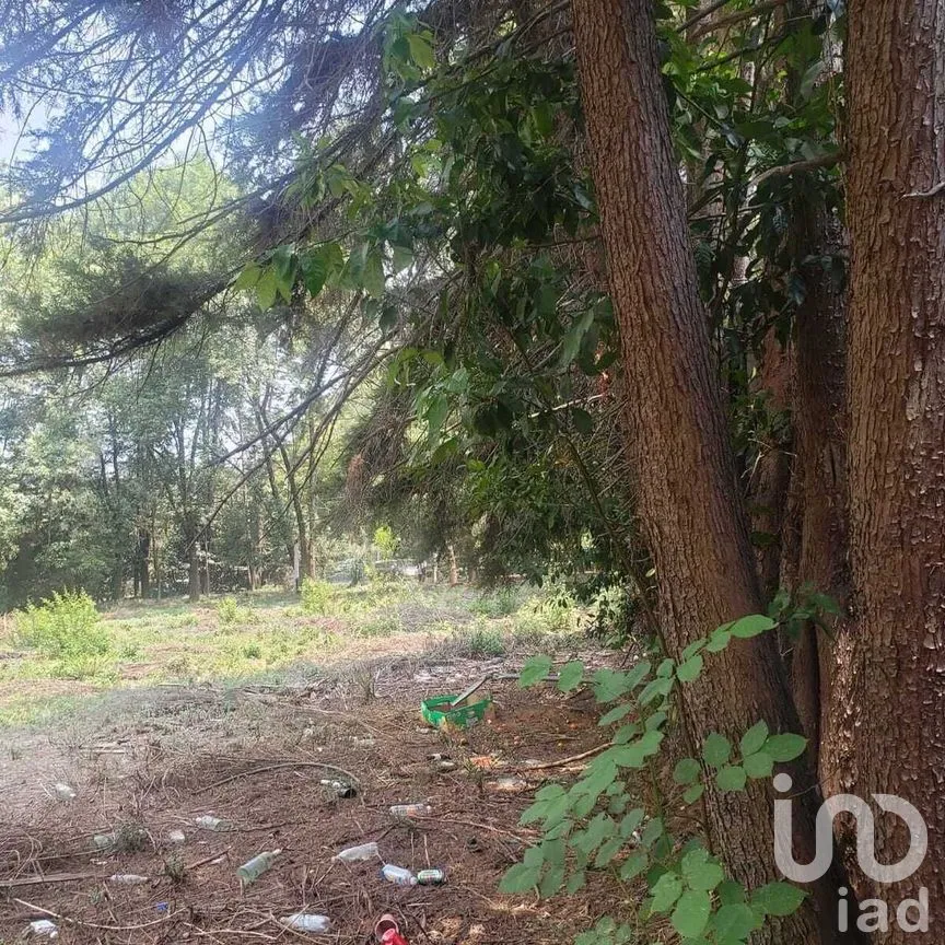 Terreno en Venta en Avándaro, Valle de Bravo, Estado De México | NEX-227281 | iad México | Foto 8 de 11