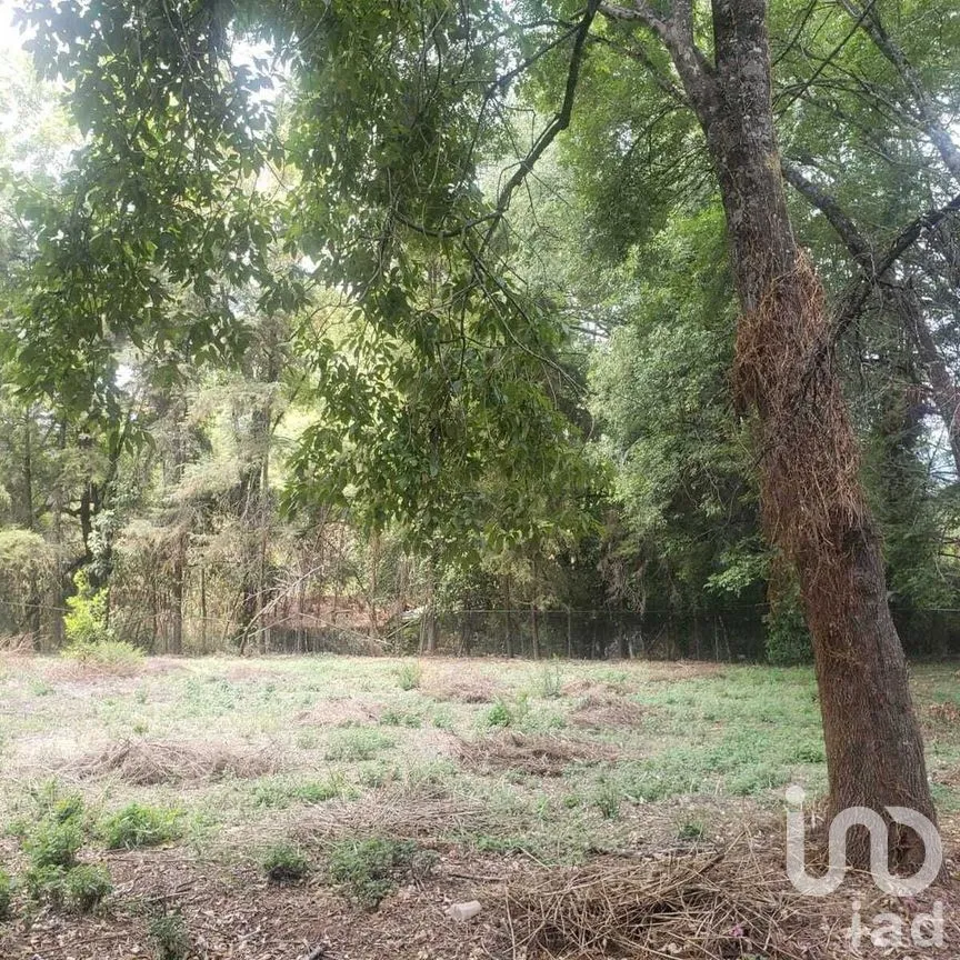 Terreno en Venta en Avándaro, Valle de Bravo, Estado De México | NEX-227281 | iad México | Foto 10 de 11