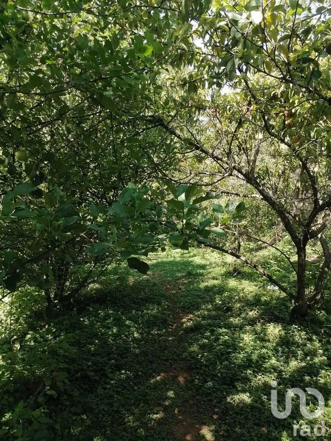 Terreno en Venta en Valle de Bravo, Valle de Bravo, Estado De México | NEX-227282 | iad México | Foto 2 de 8