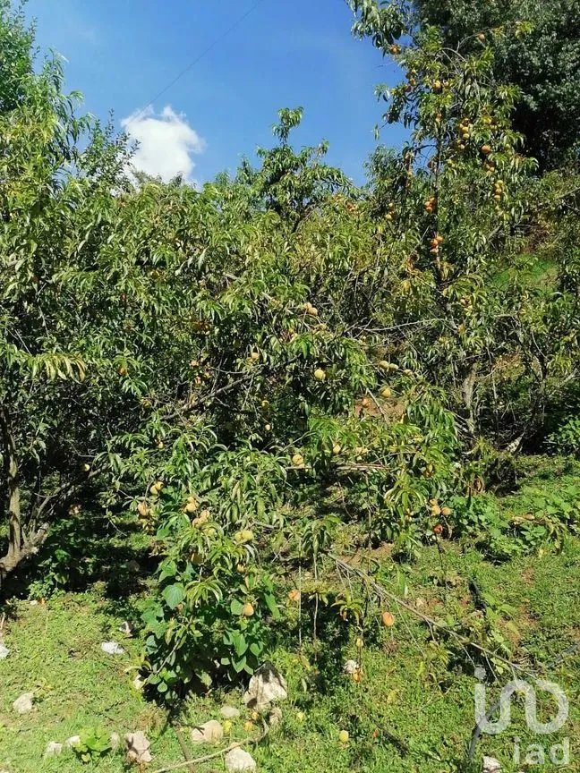 Terreno en Venta en Valle de Bravo, Valle de Bravo, Estado De México | NEX-227282 | iad México | Foto 3 de 8