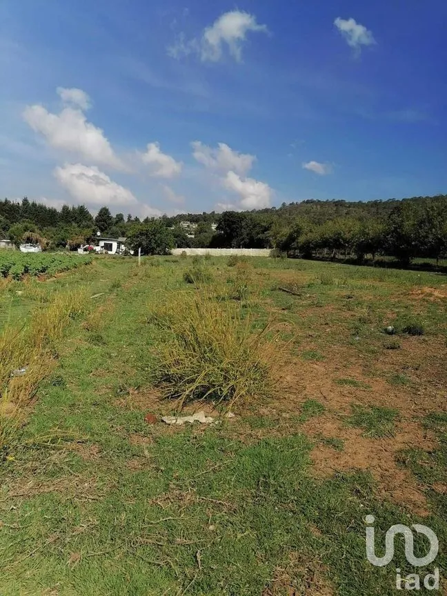 Terreno en Venta en San Bartolo, Amanalco, Estado De México | NEX-227283 | iad México | Foto 2 de 6