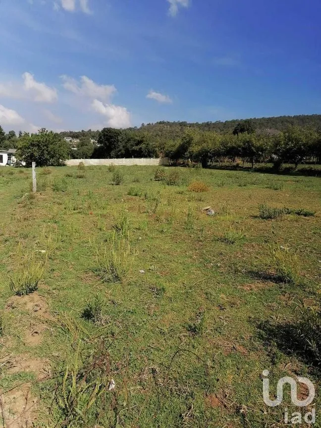 Terreno en Venta en San Bartolo, Amanalco, Estado De México | NEX-227283 | iad México | Foto 3 de 6
