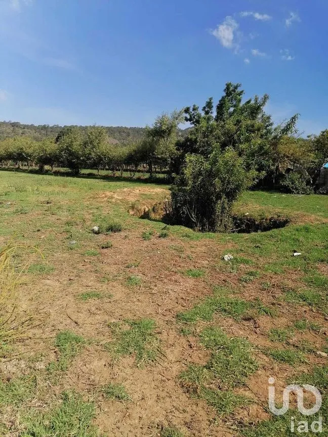 Terreno en Venta en San Bartolo, Amanalco, Estado De México | NEX-227283 | iad México | Foto 4 de 6