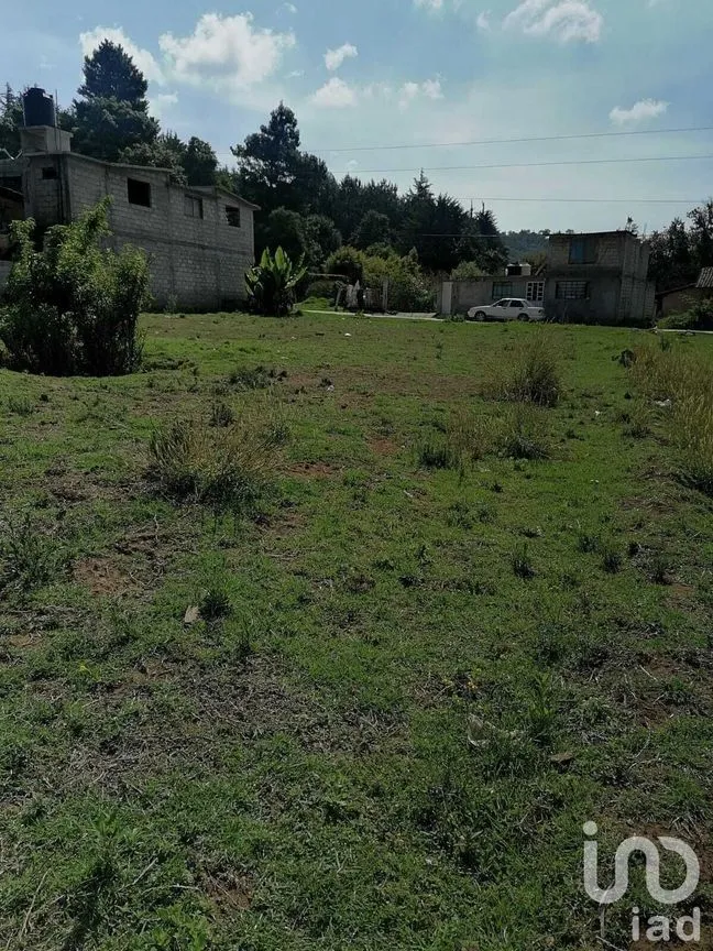Terreno en Venta en San Bartolo, Amanalco, Estado De México | NEX-227283 | iad México | Foto 6 de 6