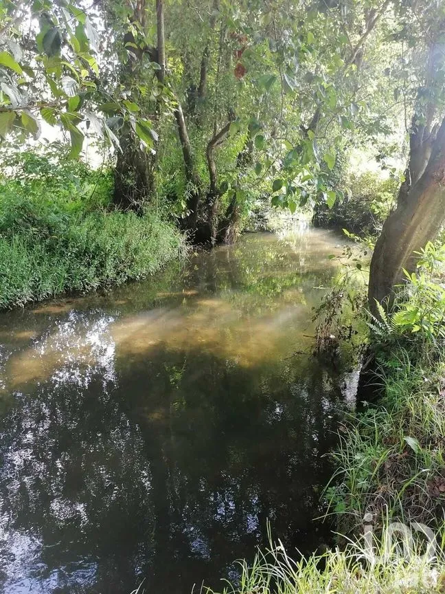 Terreno en Venta en San Bartolo, Amanalco, Estado De México | NEX-227284 | iad México | Foto 2 de 10